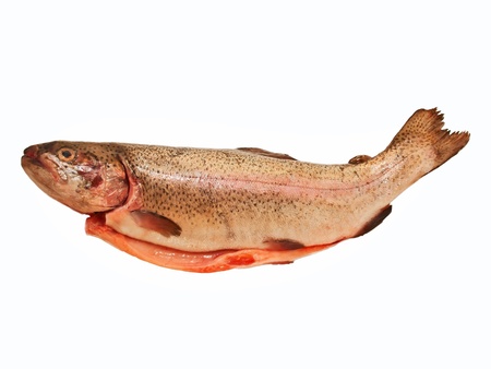 Rainbow trout (Oncorhynchus mykiss) whole eviscerated, isolated on a white studio backgroundの写真素材