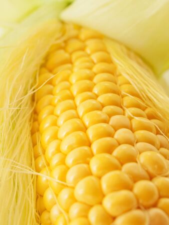 An ear of corn macroの写真素材
