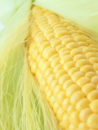 An ear of corn macroの写真素材