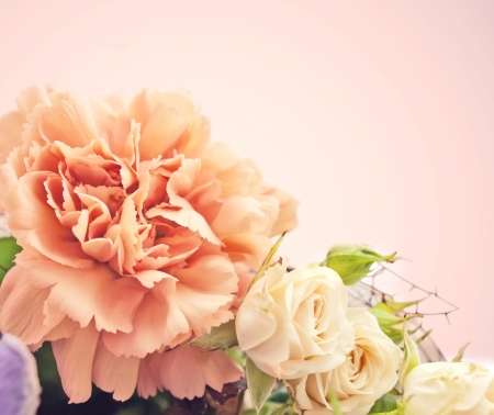 celebration  card with carnation and rosesの写真素材