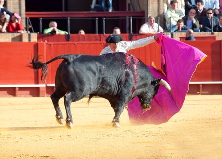 SEVILLA -MAY 20: Novilladas in Plaza de Toros de Sevilla. Unidentified member of corrida. May 20, 2012 in Sevilla (Spain) のeditorial素材