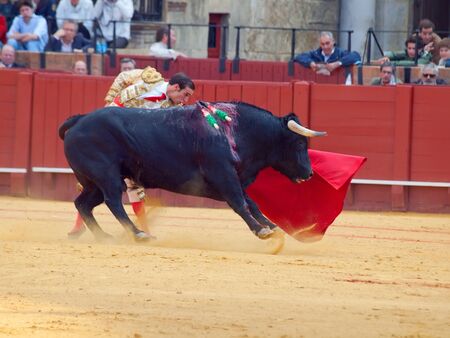 SEVILLA -MAY 20: Novilladas in Plaza de Toros de Sevilla. Novillero: Emilio Huertas. May 20, 2012 in Sevilla (Spain) のeditorial素材