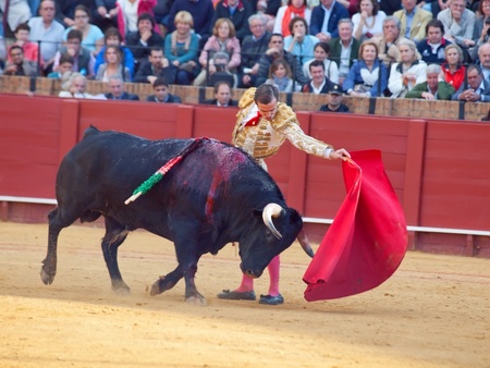 SEVILLA -MAY 20: Novilladas in Plaza de Toros de Sevilla. Novillero: Emilio Huertas. May 20, 2012 in Sevilla (Spain) のeditorial素材