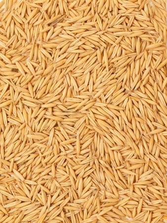 natural oat grains background, closeupの写真素材