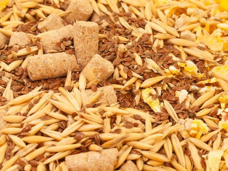 muesli for horse background  close upの写真素材