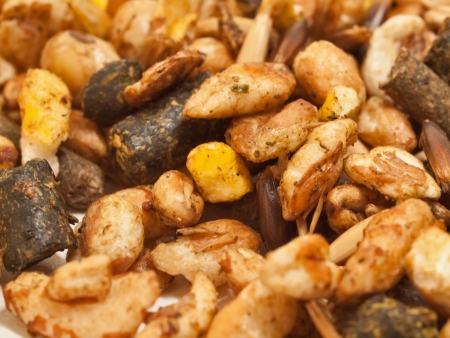 horse muesli background.  sport line high quality. macroの写真素材