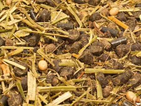 ligth muesli  with herbs for horse background. close upの写真素材