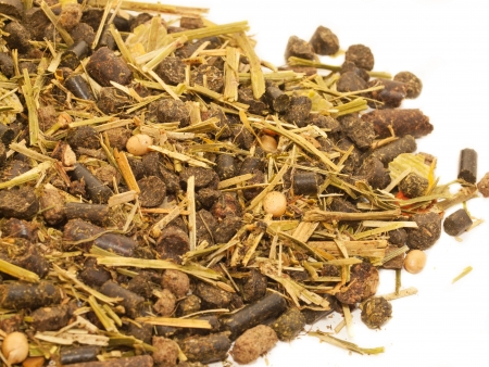 ligth muesli  with herbs for horseの写真素材