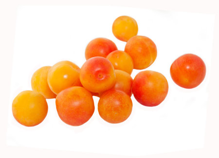 cherry-plum fruit isolated on whiteの写真素材