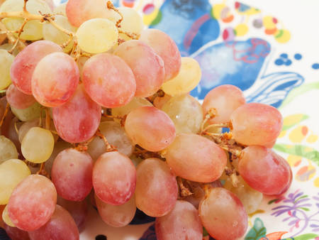 Red grape berries in  plate. closeupの写真素材