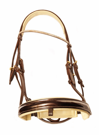 jewelery brown bridle without bit isolated on whiteの写真素材