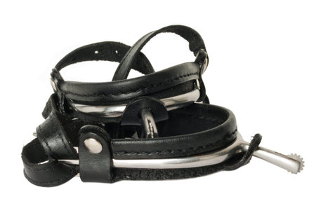 riding  dressage  spurs in case isolated on white.