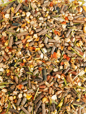 backgroound of sportive elite muesli for horsesの写真素材