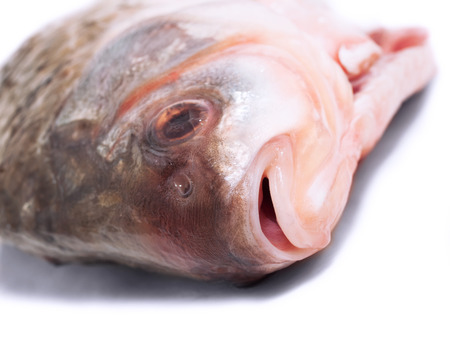 Head of fresh  fish isolated on whiteの写真素材