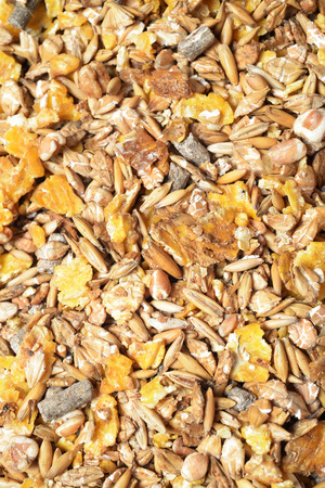 natural sportive  muesli background. for horse.の写真素材