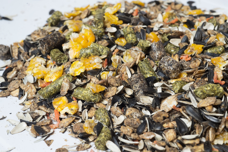 natural  muesli  background . for horse.の写真素材