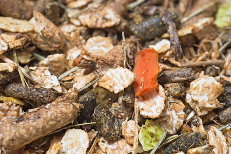  natural sportive  basic muesli  background. for horse.macroの写真素材