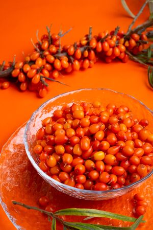 ripe sea buckthorn berries with branch around orange background.  close upの写真素材