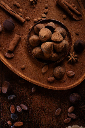 healthy delicious chocolate truffles around ingridients with natural cocoa beans, powder, cacao...