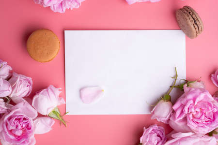 pink roses with white envelope and macaroons around pink background. life style conceptの写真素材