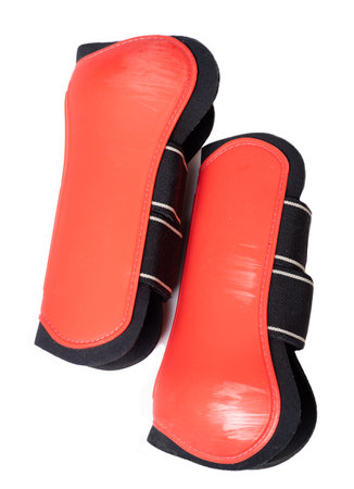 Red leg protectors for horse isolated on whiteの写真素材