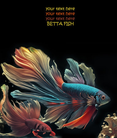 digital artwork with colorful Betta fish with beautiful long fins and tail against black background. close up. AI generatedの素材