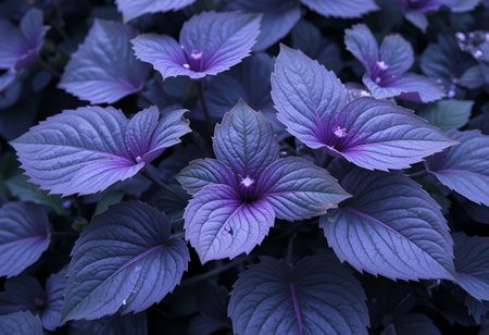 beautiful purple leaves background. close up. AI generatedの素材