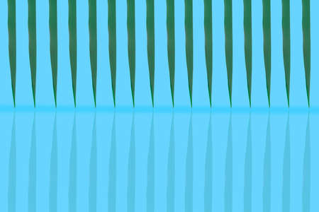 conceptual bamboo leaves making a reflection on blue backgroundの写真素材
