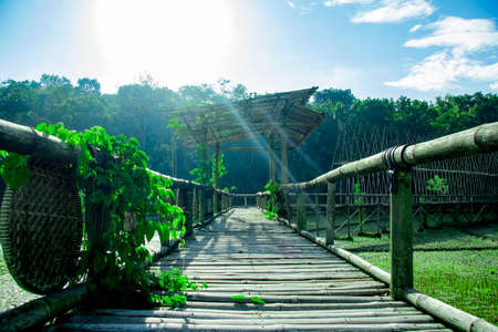 sukorame rice field, a bridge made of bamboo covered by vinesの写真素材