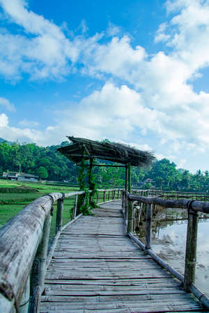 sukorame rice field, a bridge made of bambooの写真素材