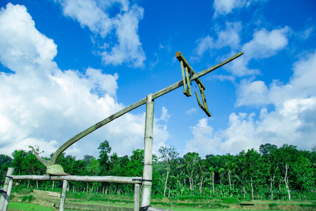 sukorame rice field, paddy plow tool from wood, a bridge made of bamboo