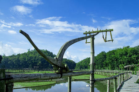 sukorame rice field, paddy plow tool from wood, a bridge made of bambooの写真素材