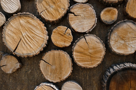 Wooden natural cut logs textured background, top view. Brown logs for surface decoration.