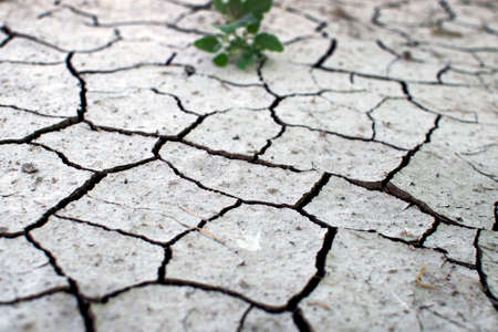 Dry soil texture background. Arid climate. surface detail, top view arid soil is dried and broken with large cracksの写真素材
