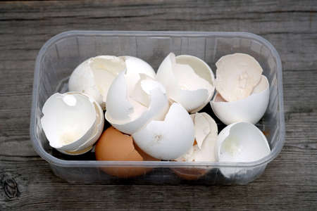 Eggshells in a plastic container on a wooden background. Collection of eggshells close-up.の写真素材