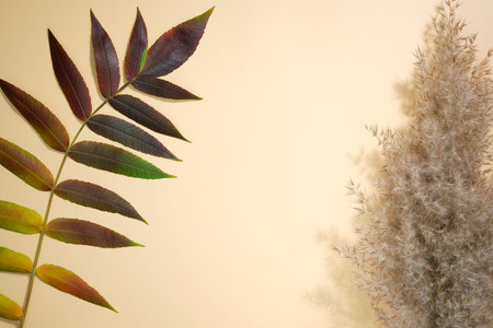 Autumnal flat composition with leaves and Dry pampas grass reeds on the beige background. Flat lay...