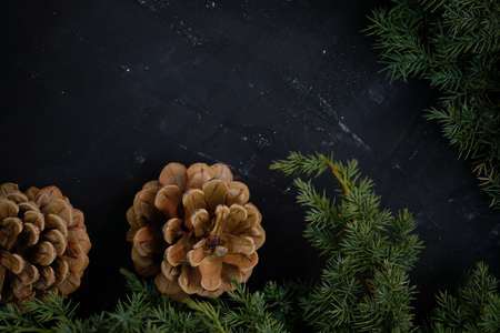Christmas background with place for text. Spruce twigs and cones on a black background top view. New Year card.の写真素材