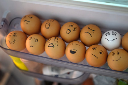 Brown eggs and one white in a plastic container in the refrigerator. Eggs in the refrigerator with...