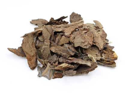 substrate for Orchid soil, contains from sphagnum moss, pine bark, coconut coir. Heap of Dry Pine...