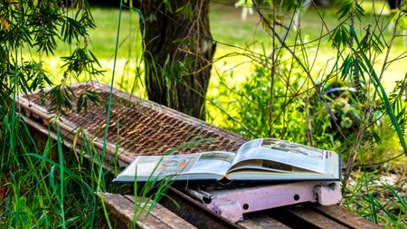 Open book on a platform