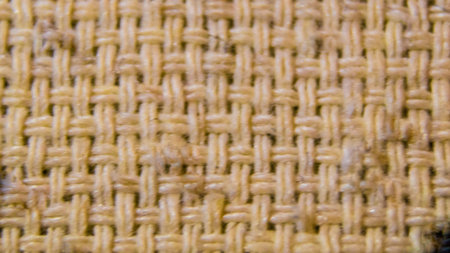Macro view of a tissue