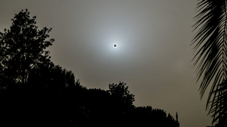 Eclipse of the sun in the field
