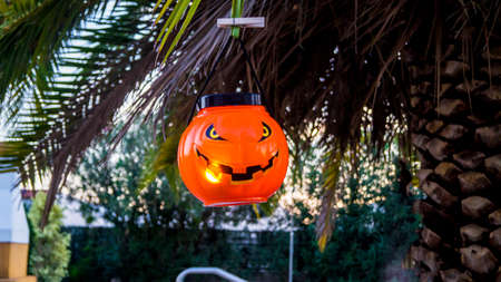 Tree decorated with halloween pumpkinの写真素材