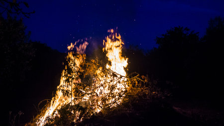 Fire burning in the middle of the nightの写真素材