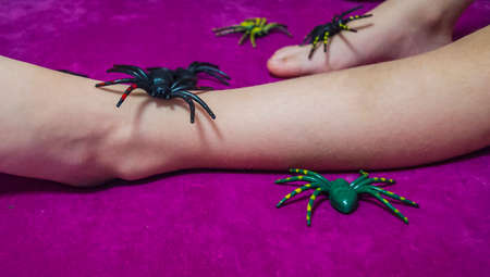 Decorative Halloween spiders for pranksの写真素材