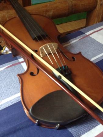 Violin at restの素材