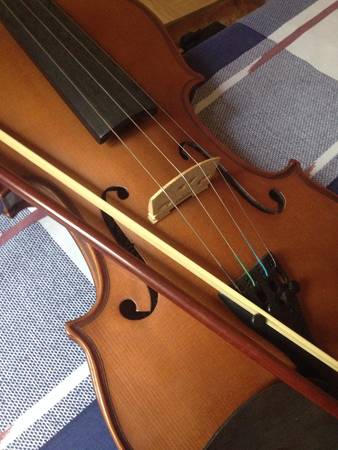 A violin collectionの素材