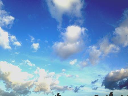 Captured the alluring blue of the skyの素材