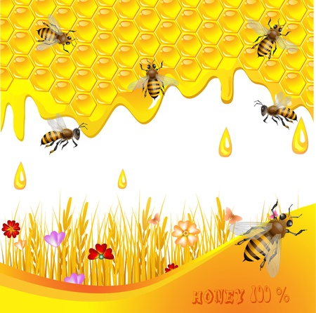 Floral background with honey and beesのイラスト素材