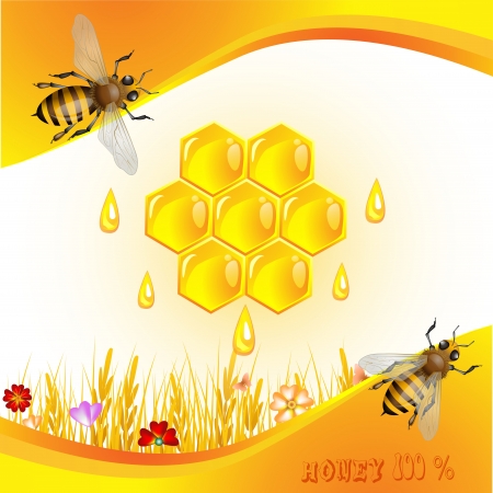 Floral background with honey and beesのイラスト素材